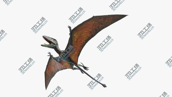 images/goods_img/20210312/Dimorphodon model/1.jpg